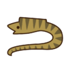 ウツボくん